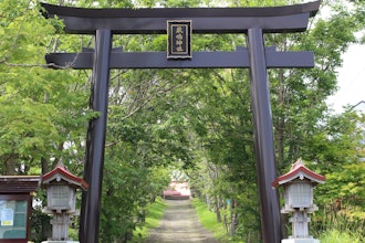 [画像2]北海道釧路市に鎮座する釧路の守り神 厳島神社です。一の鳥居から続く参道は夏には緑のトンネルになり、神聖な空気を全身で感じながらお参りいただけます。