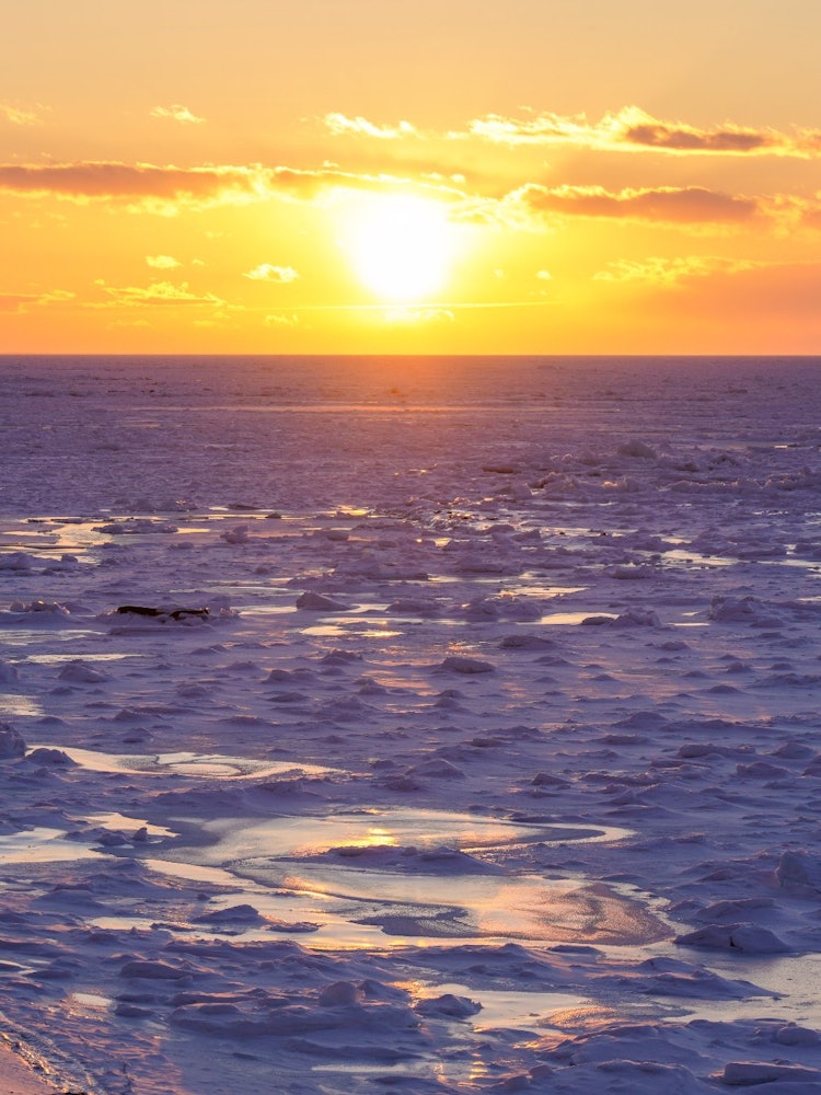 [相片1]斜里， 北海道流冰上的日落！莎里鎮位於知床半島🌅✨，在西邊很容易看到日落。只有在北海道才能看到的流冰上的日落是最好的😁。