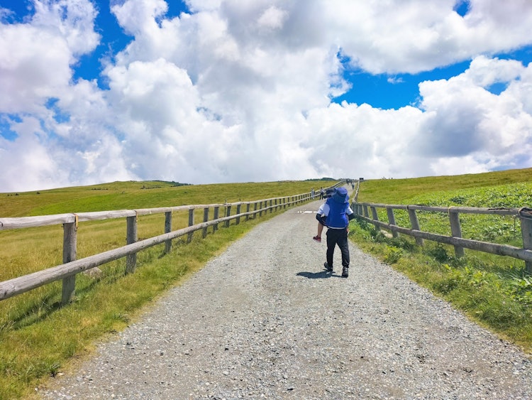 [相片1]宇久志原高原/長野風景優美的徒步旅行。 我的侄子走累了，大便了。 奇怪的景象是，雲層在穩步上升，他們沒有抬頭，而是在他們走路的視線盡頭。