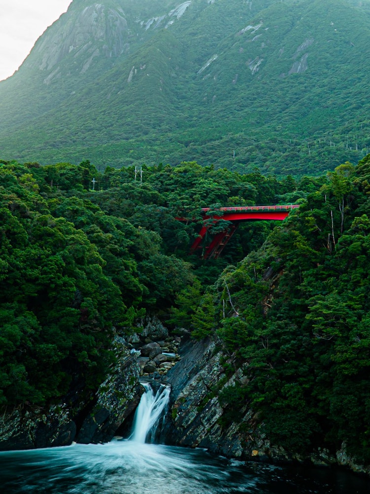 [相片1]地點 屋久島、鹿兒島 特洛基瀑布相機索尼A7SII日本為數不多的落入大海的瀑布之一，後面可以看到Mocchom山。