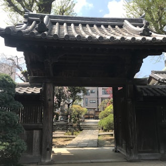 [画像1]週末は天気が良かったので、少し探索しました。荒川の隅田川の近くで、寳蔵院と呼ばれるこの素敵な小さな寺院を見つけました。寺院のどこに入ればいいのかわからず、とにかく時間があまりなかったので、門を通り抜け