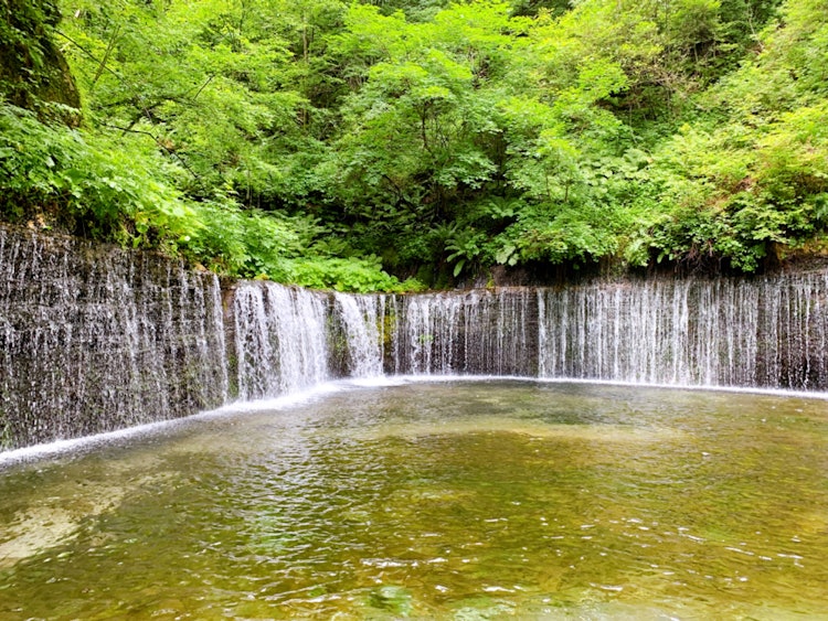 [画像1]軽井沢の白糸の滝です。滝の音とマイナスイオンを含んだ風がとても心地よい空間でした。