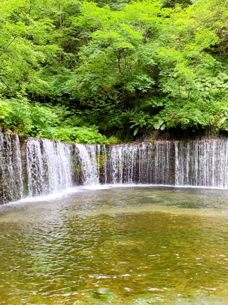 [Image1]It is Shiraito Falls in Karuizawa.The sound of the waterfall and the wind containing negative ions w