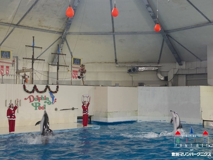 [Image1]December from today!So, in the dolphin poolChristmas costumes, decorations, songs, etc. are changed 