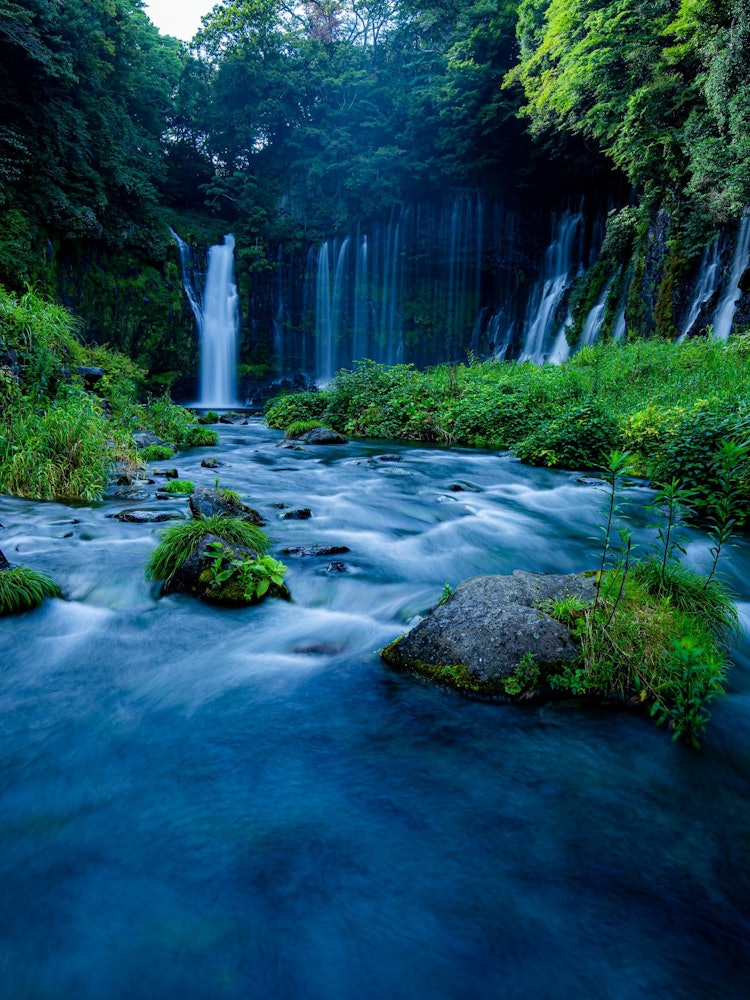 [画像1]白糸の滝夏といえば、滝に水遊びで最高です。静岡県にて2021.8.9