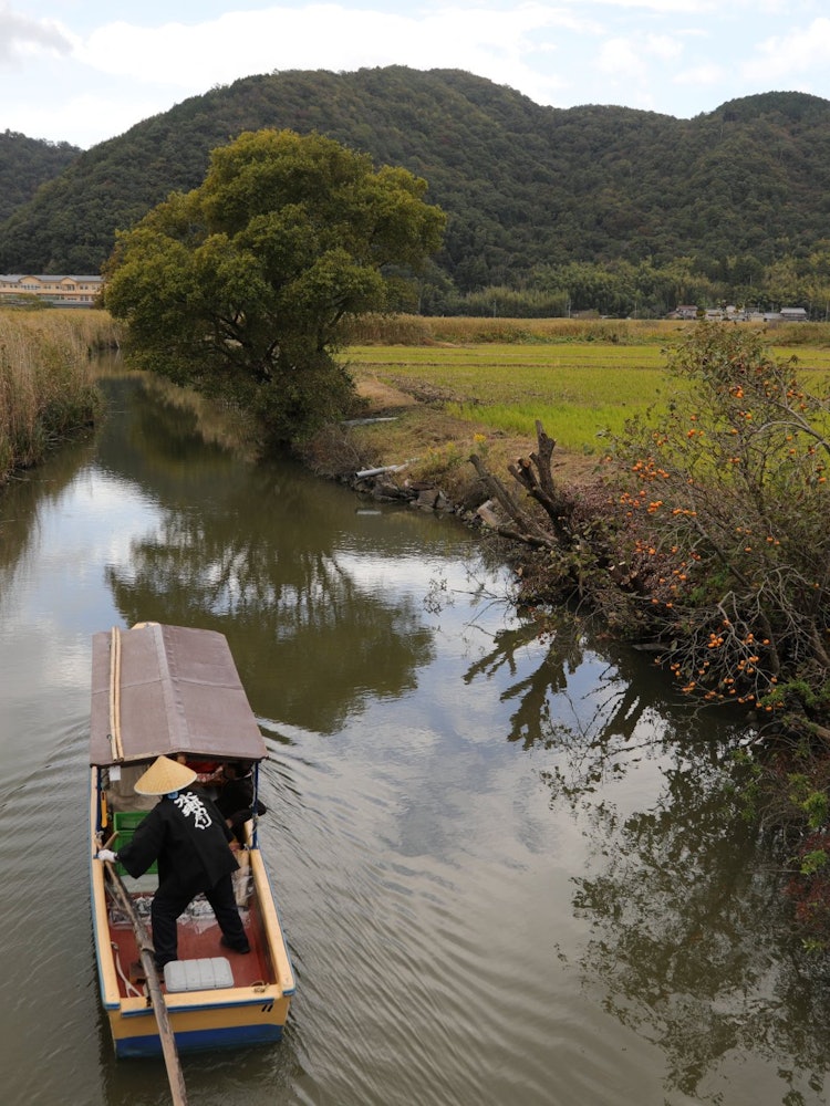 [画像1]滋賀県近江八幡市のよしはらを散策していて偶然水郷めぐりの舟に出くわしました。