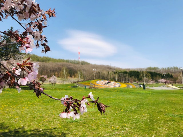 [画像1]おすすめサイクリングコースのご紹介十勝ヶ丘公園＆十勝ヶ丘展望台です！公園内には花時計が設置され、色とりどりのお花が迎えてくれます。4月29日からモール温泉の足湯もオープンしますので、サイクリングで疲れ