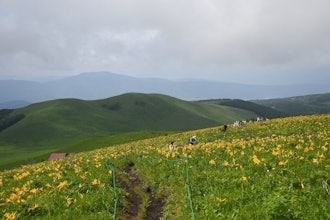 [이미지2]신슈 칸코치 스와!!스와에는 구루마야마 (Kurumayama)에서 와시 가미네 키리 가미네 고원 (Kirigamine Highlands)까지 완만한 기복이 있습니다.　6월 말경에는