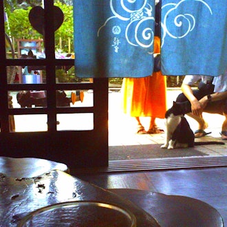 [Image2]Enoshima, at the teahouse Aburaya on the islandThe signboard cat was very popular with tourists.