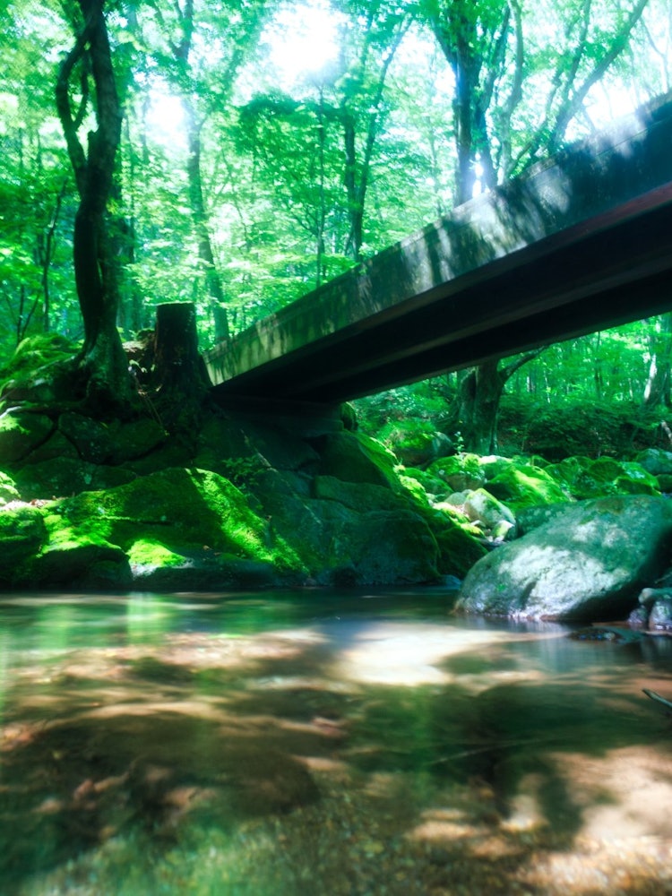 [画像1]日光エリアの滝を散策している時に道中静かな渓谷があったので立ち寄った場所ですWhile walking around the waterfalls in the Nikko area, I came 