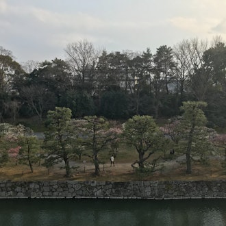 [Image2]Some photos I took at Nijo Castle in spring 2018. You can see the cherry blossoms in some of the pho