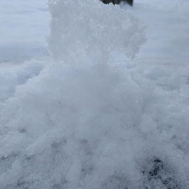 [画像1]今年は寒いわりに雪が少ないと思っていたのですが最近になってどっかりと雪が降りました雪だるま作るのが楽しいです