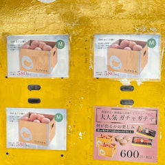 [이미지2]하에바루, 자판기를 소개합니다.Churatama Poultry Farm and Castle Store 입구에 있는 계란 자판기 (^o^)저희 가게 양계장에서 키운 닭고기 달걀은 짙