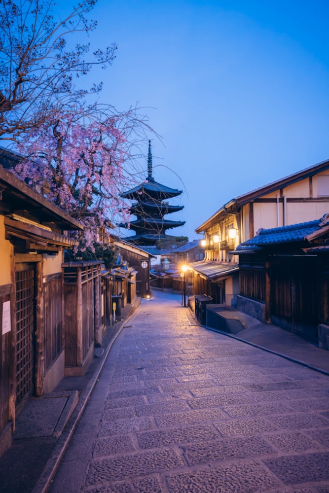 [相片1]為了拍攝京都的春天，我在淩晨5點去了所謂的「八坂塔」。。通常擠滿了遊客的街道變得安靜而空曠。黎明前的塔樓和靜靜綻放的下垂櫻花與古樸的風景相結合，非常夢幻。我能夠捕捉到一些美好的時刻。