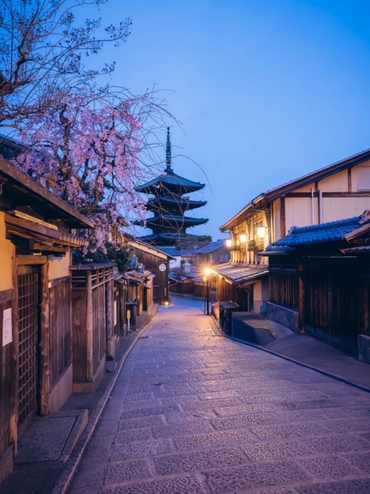 [画像1]京都の春を撮るために、早朝５時に通称「八坂の塔」へ。いつもなら観光客が殺到する通りは、ひっそりとした誰もいない街並みに。夜明け前の塔とひっそりと咲く枝垂れ桜は、風情ある風景と合わさってとても幻想的。い