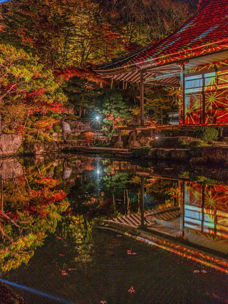 [Image1]It is a light up of autumn leaves of Baekje Temple in Higashiomi City, Shiga Prefecture. The autumn 