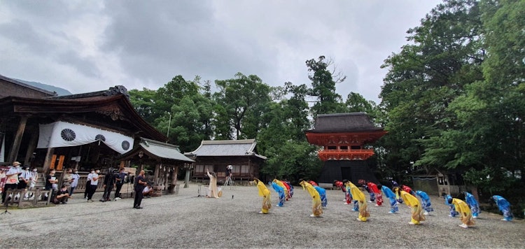 [画像1]よさこい踊りを土佐神社に奉納演舞。日本の祈りと芸能の文化。コロナ収束。世界の平和を祈願して演舞させて頂きました。2020年8月8日