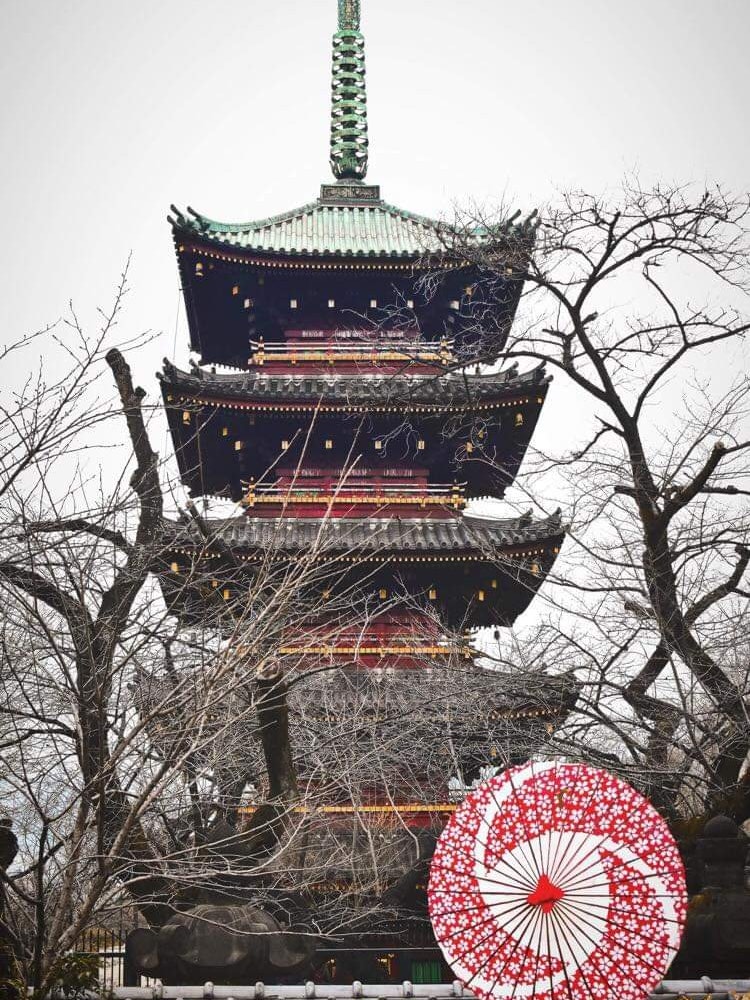 [Image1]The five-storied pagoda of Ueno park looks very beautiful in every season. Ueno park is one of the m