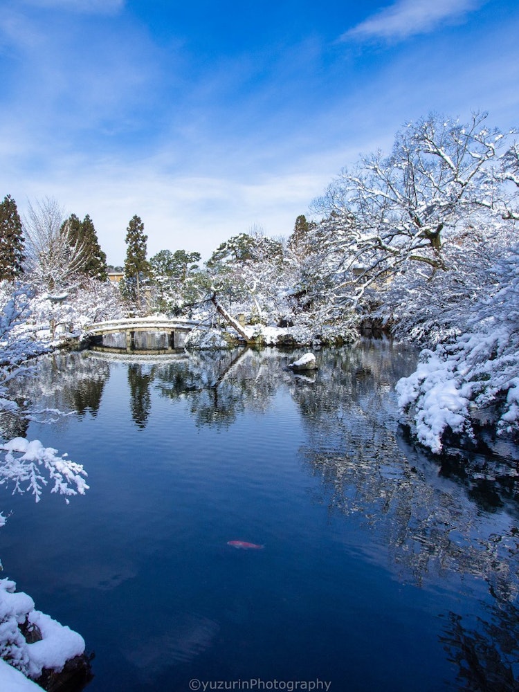 [相片1]即使在京都市，也有下大雪的年份。 在这种情况下，请访问永观堂。 这是一个著名的红叶之地，但雪景也是最好的。