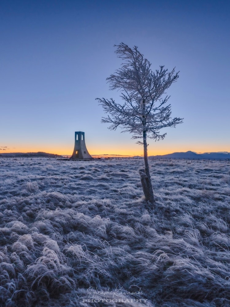 [이미지1]갈아입을 옷영하의 아침, 식물과 나무가 얼음으로 뒤덮여 겨울과 같은 단단한 풍경을 보여주었습니다.