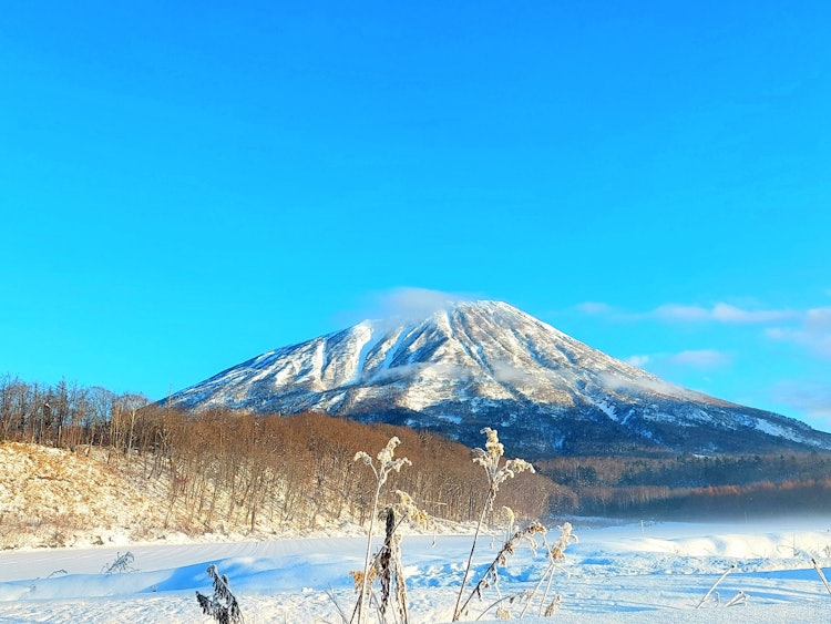 [画像1]我が家の目の前の羊蹄山がいよいよ雪化粧(^^)これから近隣のスキー場は賑わいます！