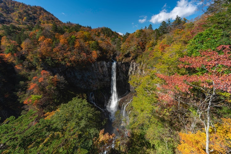 [相片1]“被秋天包圍的華嚴瀑布”落差近百米的瀑布，瀑布轟鳴的轟鳴聲，四面八方五顏六色的秋葉環繞的華嚴瀑布，堪稱傑作。