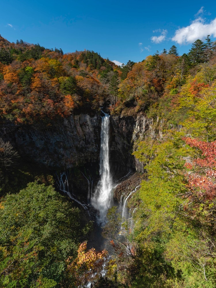 [相片1]“被秋天包围的华严瀑布”落差近百米的瀑布，瀑布轰鸣的轰鸣声，四面八方五颜六色的秋叶环绕的华严瀑布，堪称杰作。