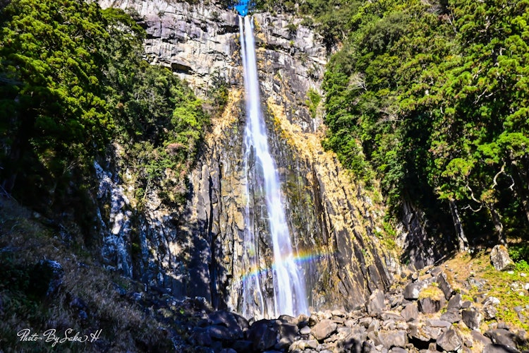 [相片1]那智瀑布 2021.12.25正是這個「那智瀑布」，從那智靈峰深處的雲取山流出的幹流中有許多溪流重疊，最後像穿過原始森林一樣落下。水柱高133米，銣子口寬13米，瀑布潭深度10米，是日本三大著名瀑布之