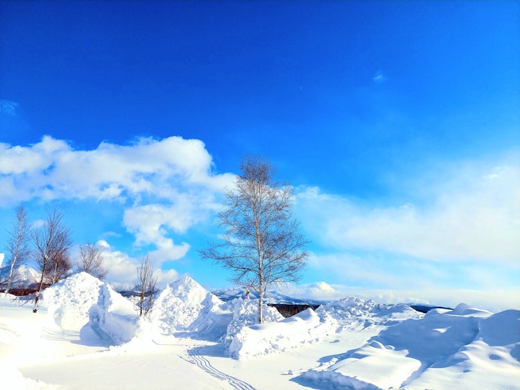 [相片1]雪花之间的景色绝佳！在阳光明媚的日子里，留寿都度假村和羊蹄山看起来很漂亮！