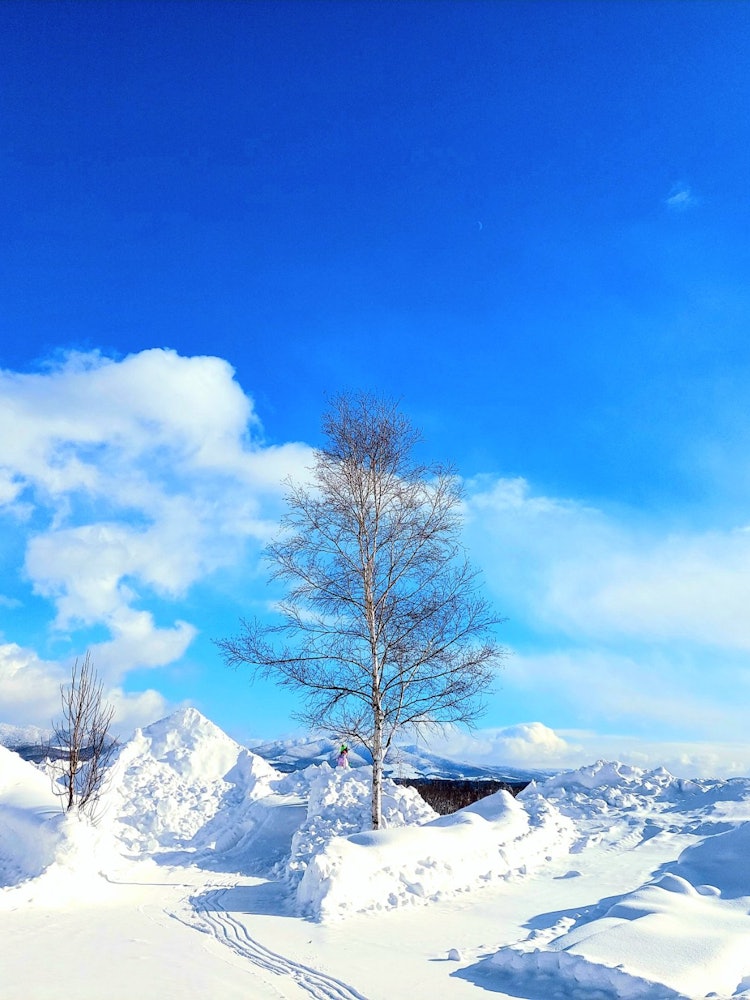 [相片1]雪花之間的景色絕佳！在陽光明媚的日子里，留壽都度假村和羊蹄山看起來很漂亮！