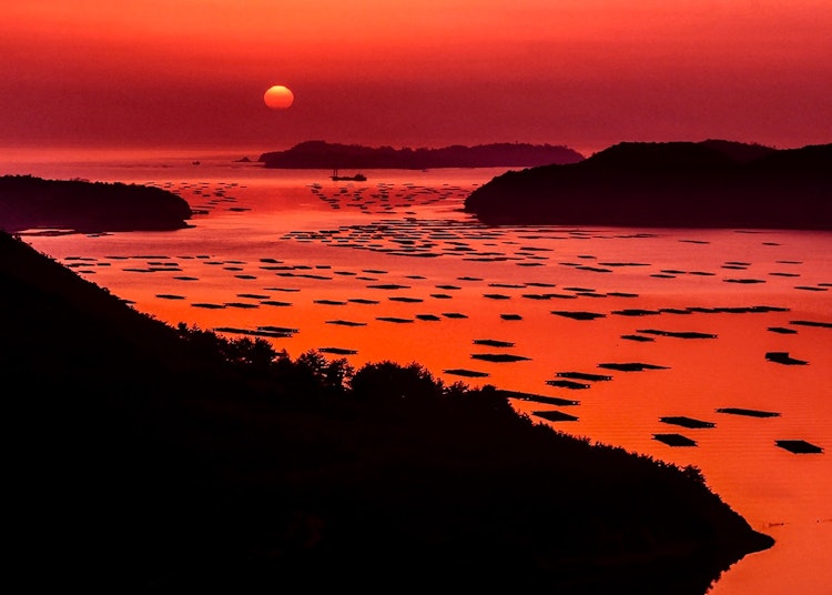 [画像1]瀬戸内市邑久町の大平山より虫明湾の日の出を撮影。海面が赤く染まり牡蠣筏とのコントラストも美しい。