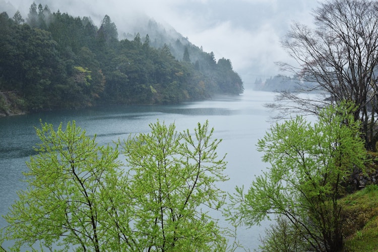 [이미지1]와카야마 현의 영토를 통과하는 기타야마 강 작업 과정 및 신선한 녹음은 매우 아름다웠습니다.