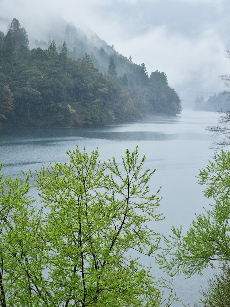 [相片1]穿過和歌山縣飛地的北山川溪流和新鮮的綠色植物非常美麗。