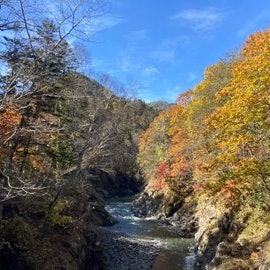 [Image1]【The best ✨ time to see the autumn leaves in the Taiki Town】Starting with autumn foliage spots such 