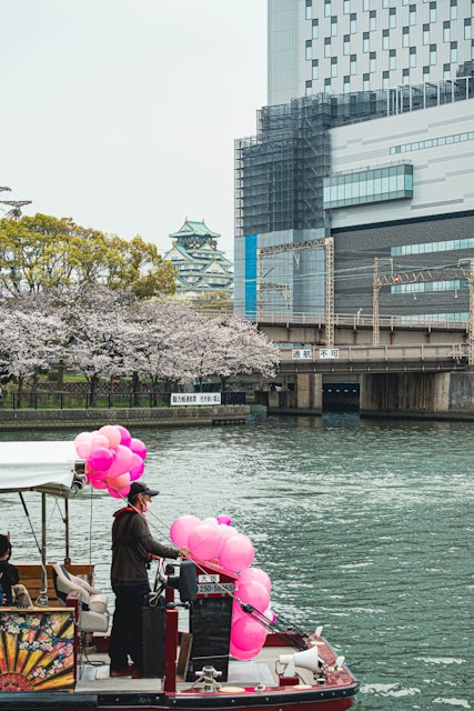 [画像1]大阪大川のさくらクルーズ.船に乗って大阪市内で桜を楽しむことができます。