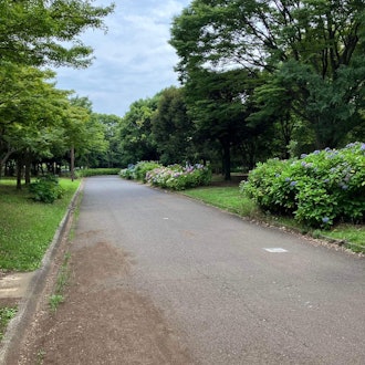 [Image1]I found a lovely park today in Tokyo. It was called Kiba Park and it's located (unsurprisingly) just
