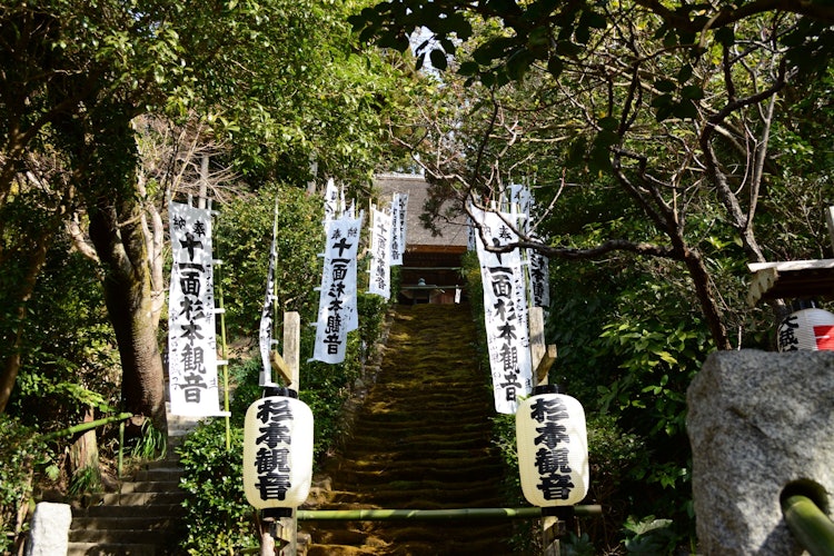 [Image1]It is Sugimoto Temple in Kamakura. I took a picture mainly of the mossy staircase in front.