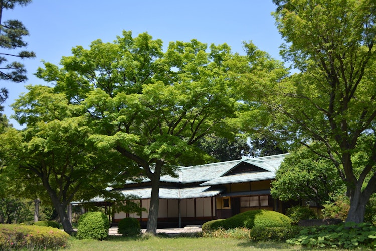 [Image1]It is a tea house in Suwa in the Tomi Garden of the Imperial Palace. Anyone can enter the Tomi Garde