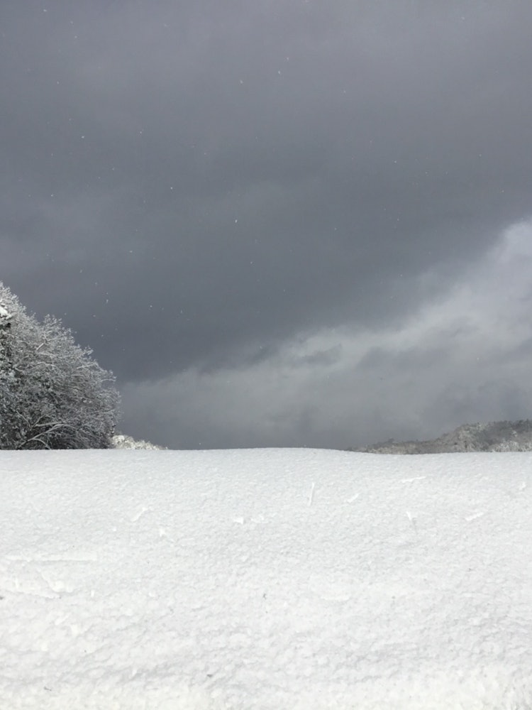[相片1]京都府丹后地區長期以來首次積雪，純白的雪籠罩了一切。