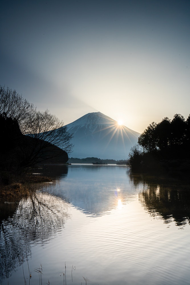 [相片1]富士雙鑽間日本的自然風光日出、富士山和櫻花之間的合作2022.4.9 5：30 上午在靜岡縣這是雙鑽富士。 能夠拍攝我一直想看的風景真是太好了。自從我去年拍攝了這一刻以來，富士山已經成為一種特殊的愛好