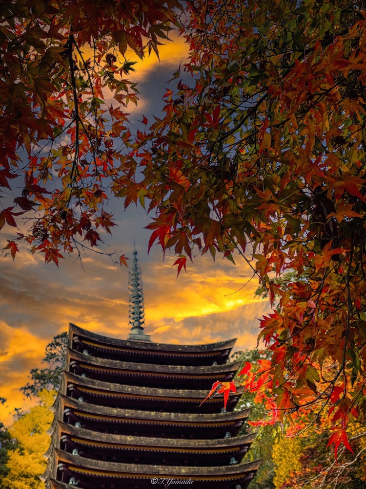 [画像1]秋の談山神社は格別です。奈良県桜井市 談山神社