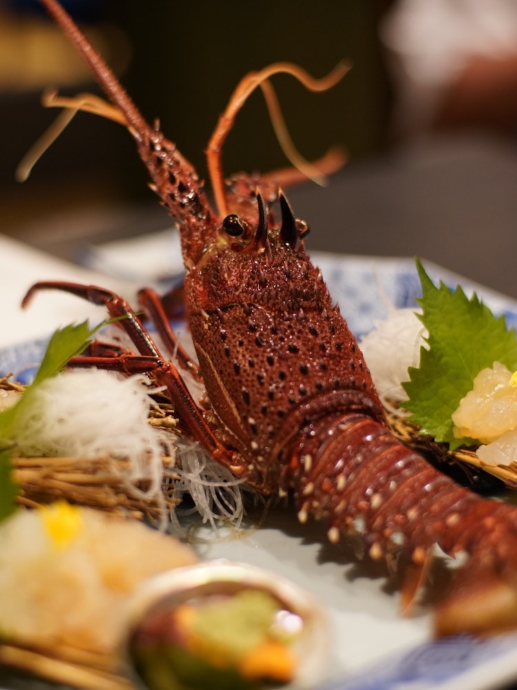 [Image1]Ise shrimp sashimi at Nakanagon.