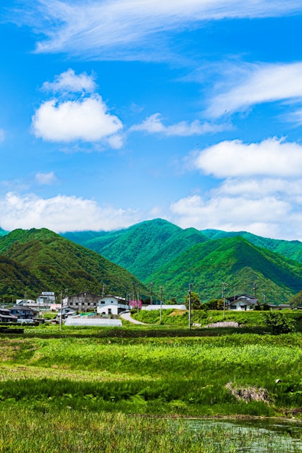 [Image1]It is a scenery that I wanted to take when I was driving leisurely on the country roads of Nagano in