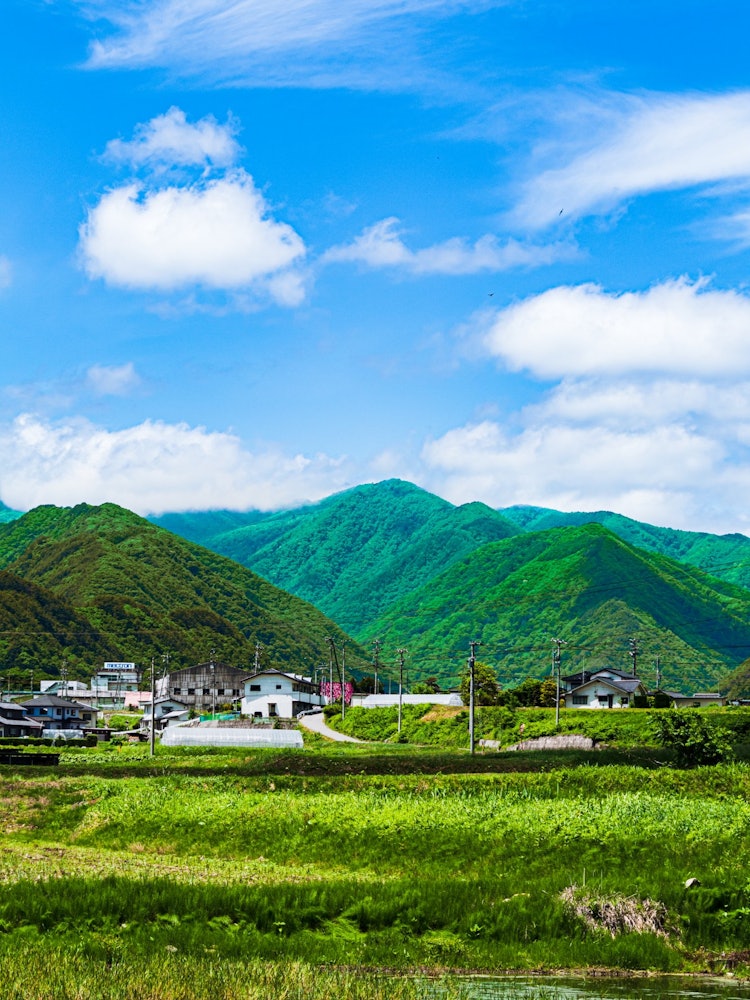 [Image1]It is a scenery that I wanted to take when I was driving leisurely on the country roads of Nagano in