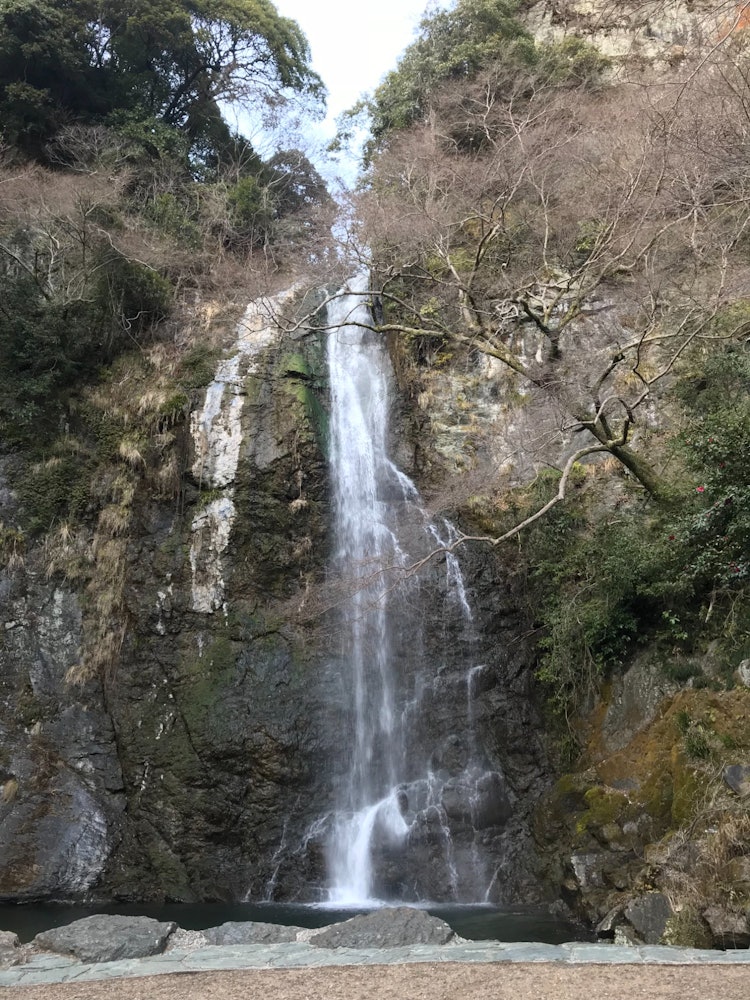 [Image1]A photo I took a few years ago during a trip to Osaka! A waterfall at Mino Park during late spring/e