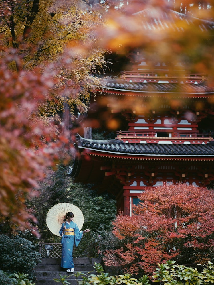 [画像1]京都府、岩船寺。あじさい寺と称されるお寺ですが紅葉もまた美しく、日本の美を感じさせます。