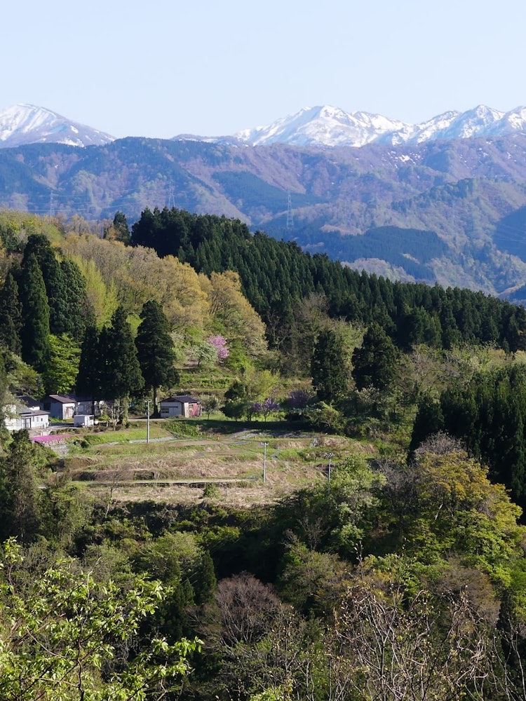 [画像1]「医王の里」春の医王山の麓の村。 見上峠付近から撮影。遠くに加賀富士や白山系の山々が見える。