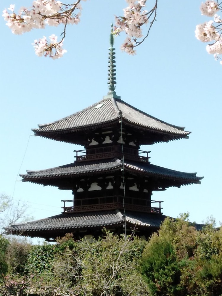 [Image1]Standing among the cherry blossoms in full bloom, it is a three-storied pagoda of Hokiji Temple in I