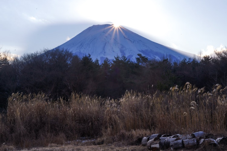 [画像1]富士吉田での夕暮れのひかえめダイヤモンド富士です。