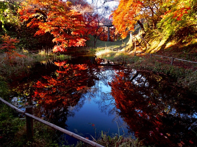 [画像1]昨年訪れた、長野県伊那市高遠町の高遠城址公園の紅葉🍁園内に有る桜雲橋の脇に池が有るお堀が在ります。真っ赤に色づいた紅葉が水面に映り空の青さとのコントラストが、鮮やかでした。